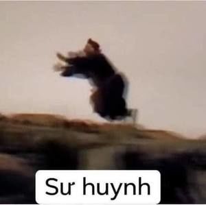 Meet your Posher, Anita